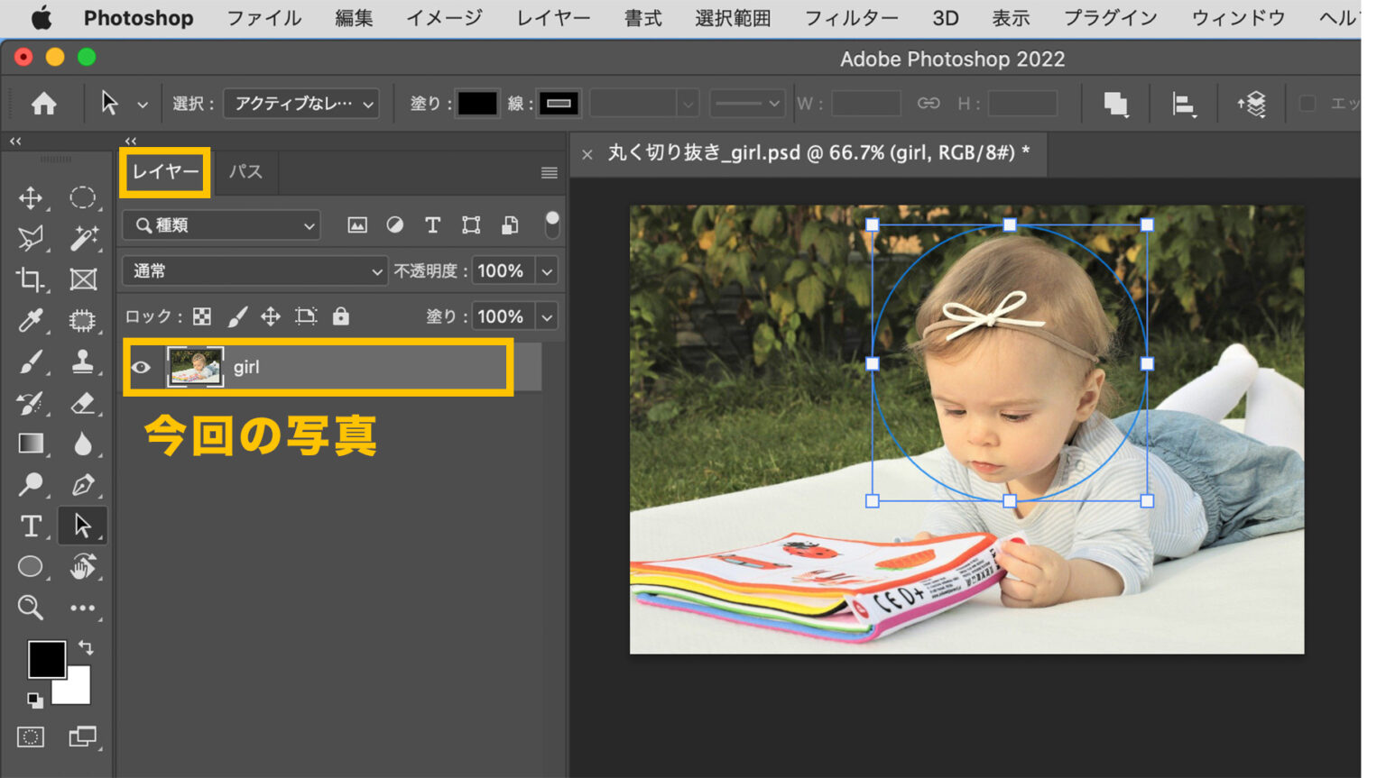 初心者必見!写真を丸く切り抜く方法【Photoshop】 | 'ike'ikeIT
